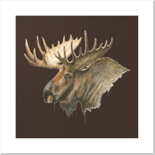 Moose Portrait Posters and Art